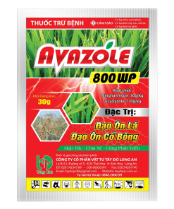 AVAZOLE 800WP