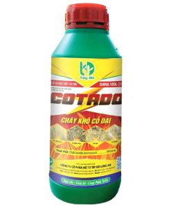 Alternative view of COTADO